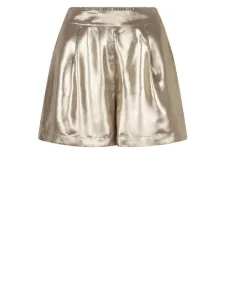 DANTE_6_Levine_metallic_shorts